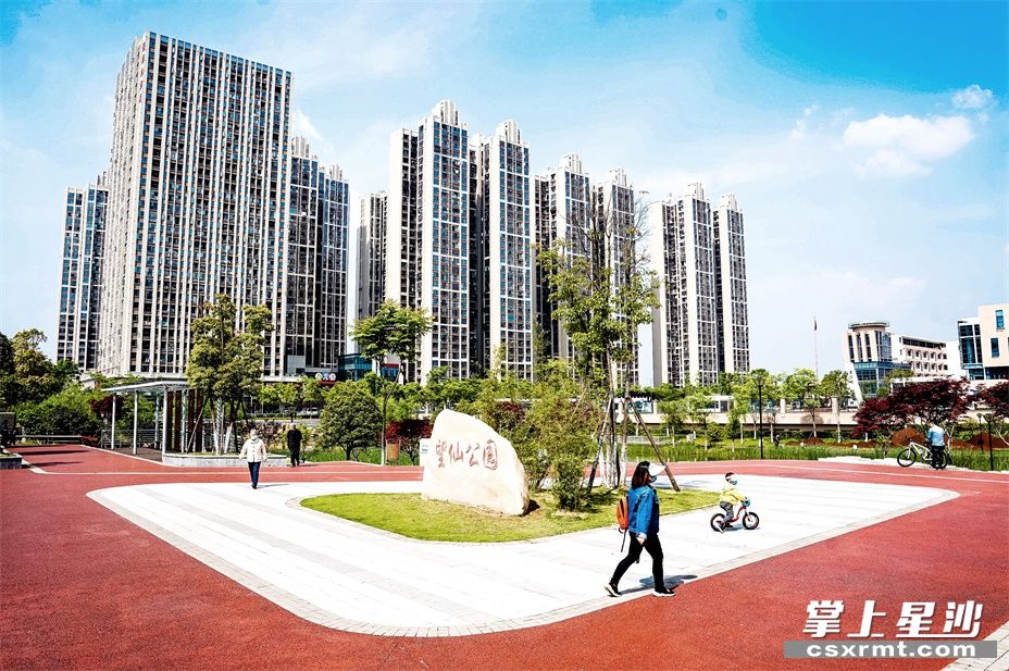 图为市民在望仙公园休闲散步。 盛磊 摄