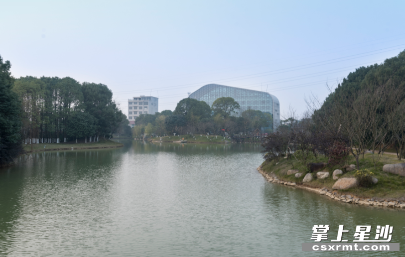 龙喜水乡风光。 刘思源 摄 龙喜水乡风光。 刘思源 摄