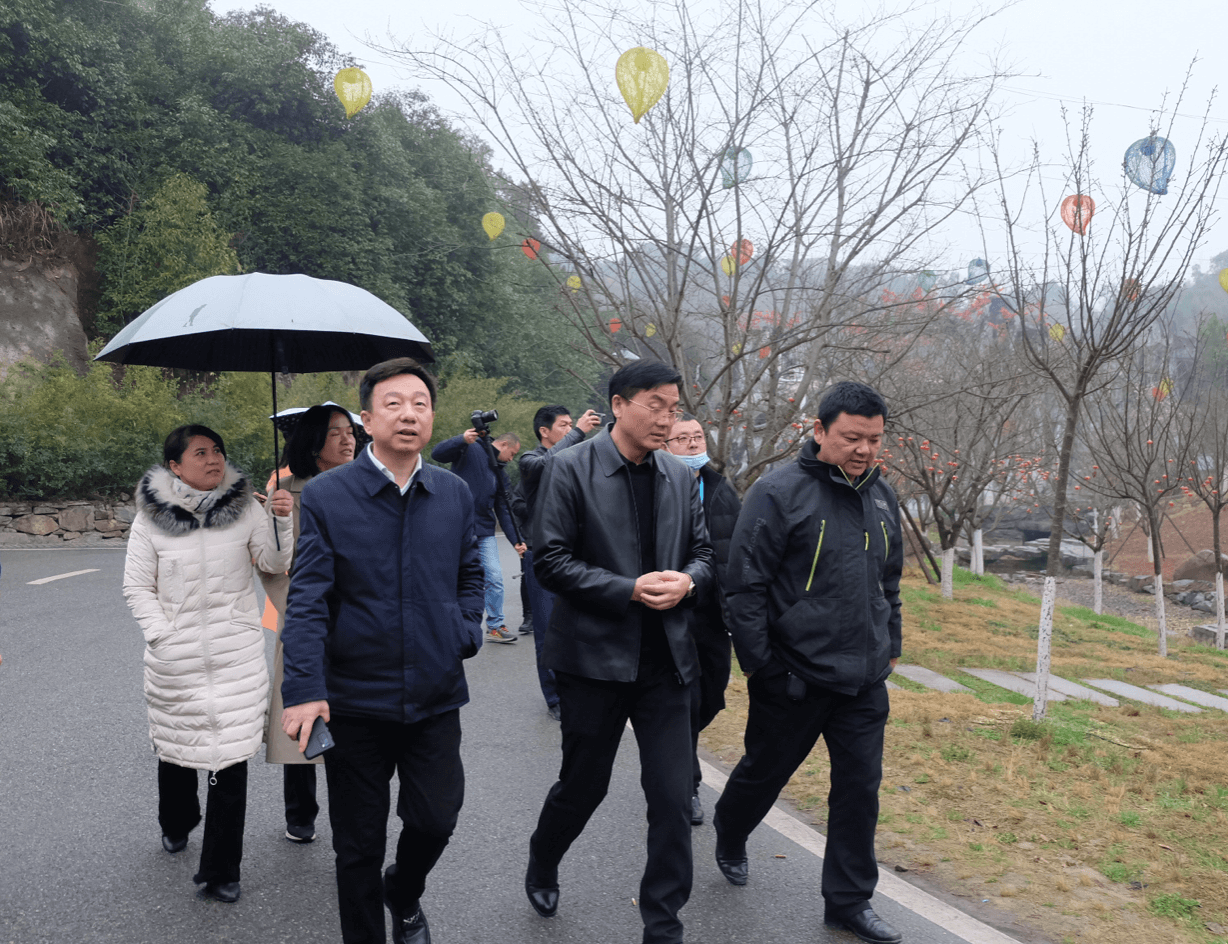 图为彭正球在浔龙河樱花谷巡查.李丹 摄