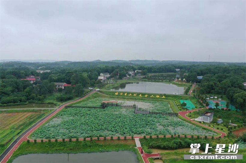 长龙街道湘峰村杨祠美丽屋场.