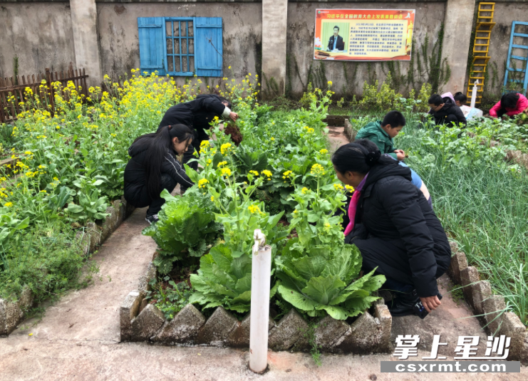 活动现场。学校供图