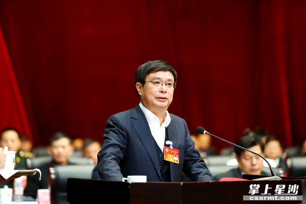 县政协常委、湖南朝威机车有限公司董事长 唐杨松。
