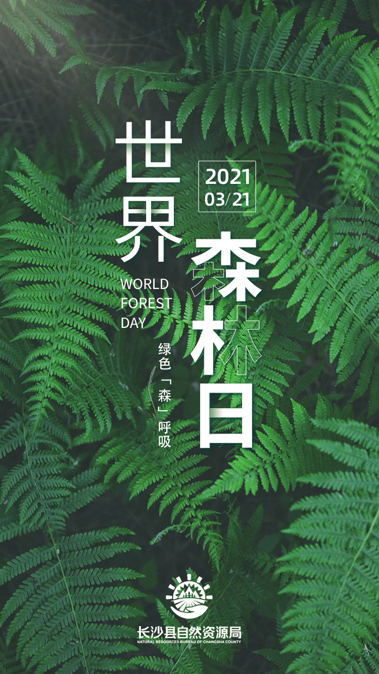 世界森林日丨绿色森呼吸这里是我们的家请爱护它