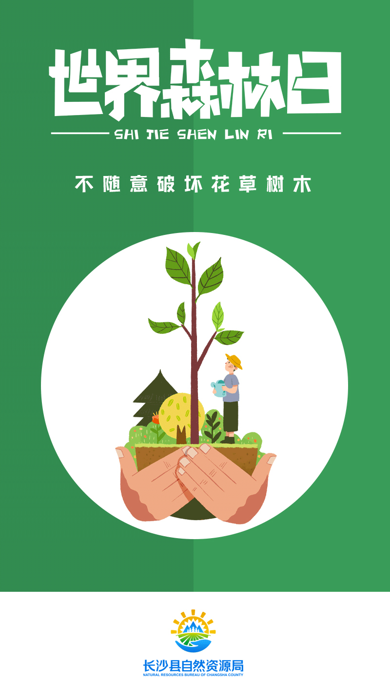 世界森林日丨绿色森呼吸这里是我们的家请爱护它
