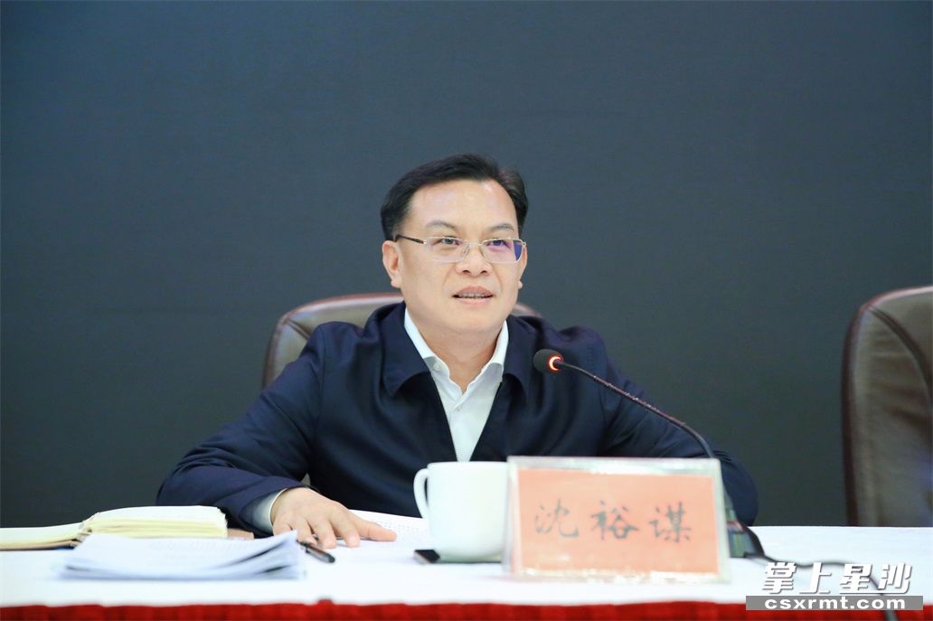沈裕谋在会议上讲话.