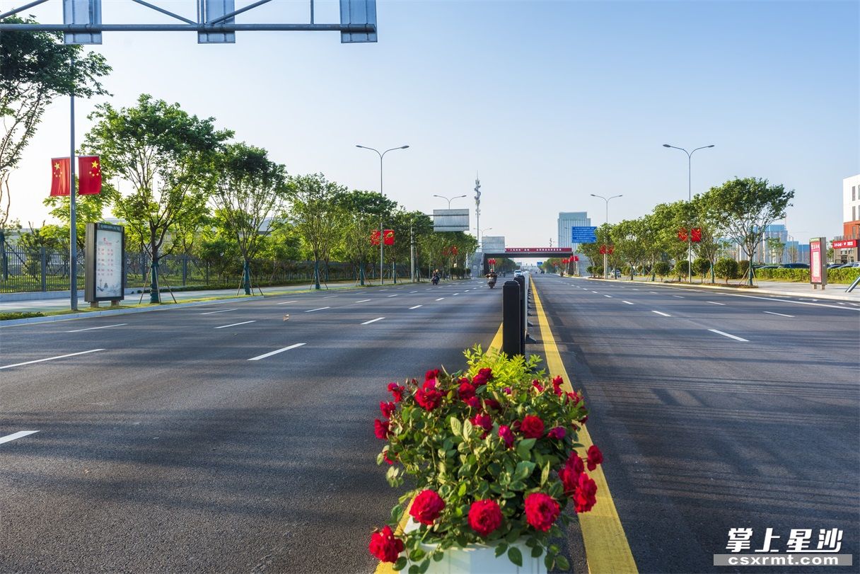 道路中央绿化带种满各类鲜花,令人赏心悦目.