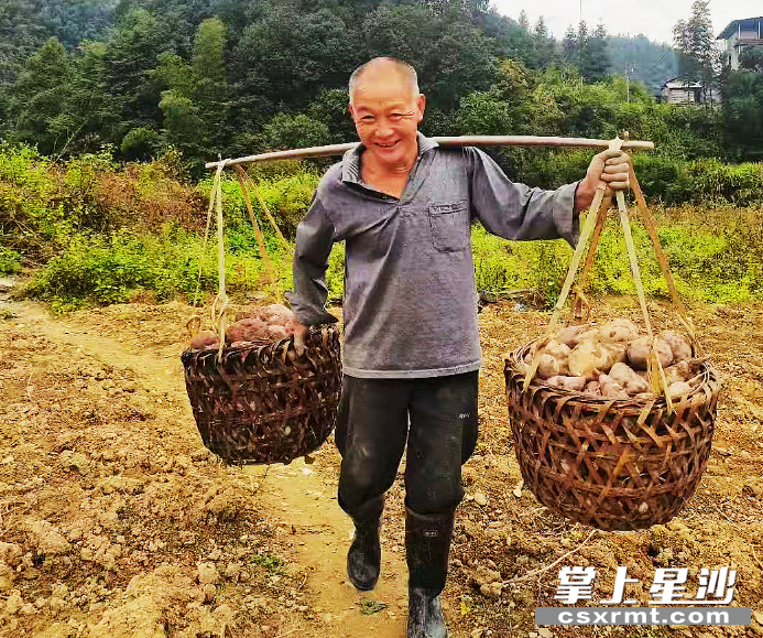 给作坊送红薯的路上，老伯满脸幸福。