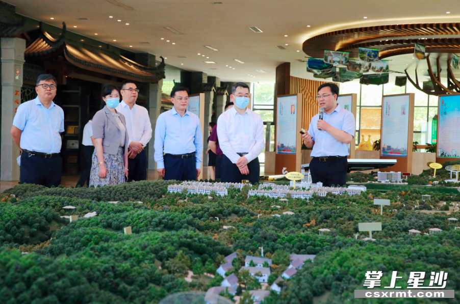 张文兵一行在浔龙河生态艺术小镇接待服务中心考察。曾诗怡 摄