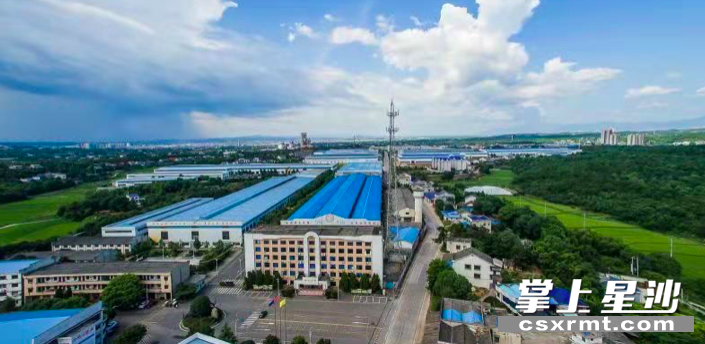 图为江背镇同心实业有限责任公司全景。供图 图为江背镇同心实业有限责任公司全景。供图