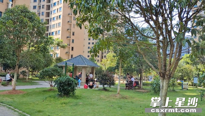 图为在金鹏名都小区内的休闲娱乐区，老人正聚在一起聊着家常，小朋友则在一旁欢快的玩耍。