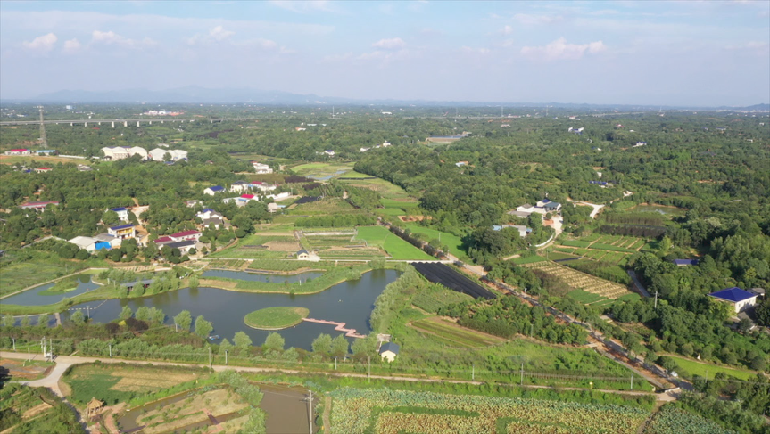 央视财经生财有道养猪还能生态好来看看长沙县车马村怎么做