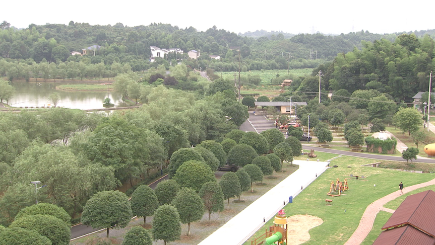 央视财经生财有道养猪还能生态好来看看长沙县车马村怎么做