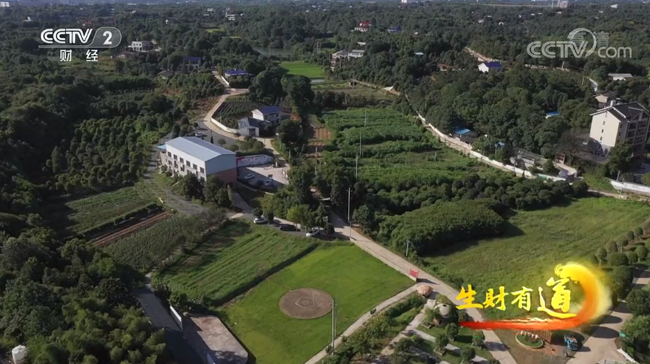 央视财经生财有道黄兴会展经济区车马村养猪村变身生态幸福村