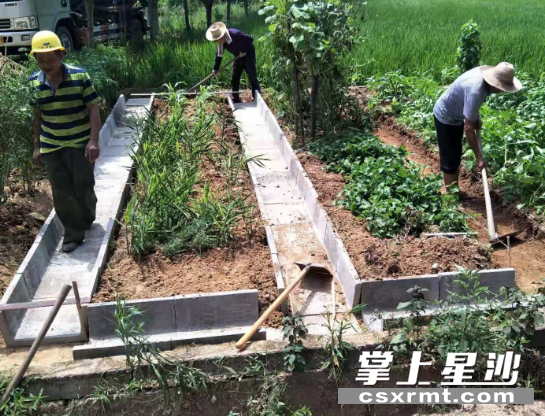 创新产品新方法创建美丽新家园 掌上星沙 创新产品新方法创建美丽新家园 掌上星沙