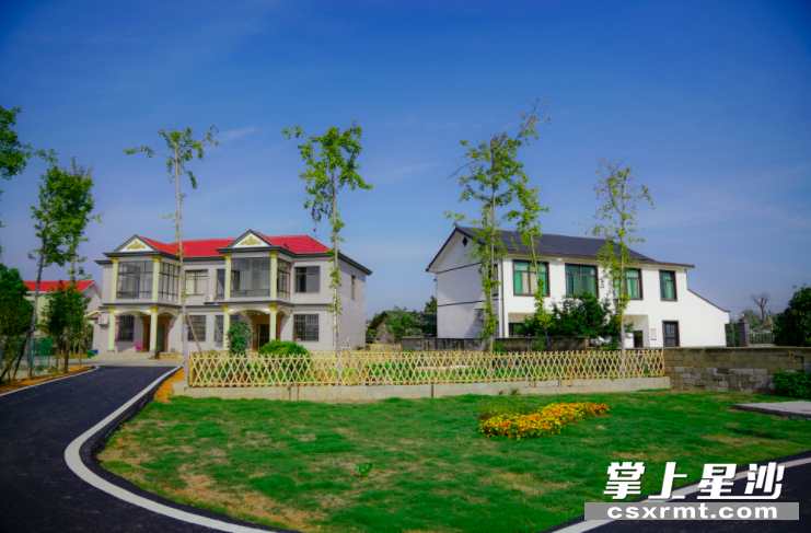 果园镇农户家庭院在蓝天白云映衬下成一道靓丽风景线。均为肖焕 摄 果园镇农户家庭院在蓝天白云映衬下成一道靓丽风景线。均为肖焕 摄