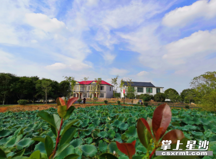 果园镇通过人居环境整治,让家门口成了“不用去远方的风景”。 果园镇通过人居环境整治,让家门口成了“不用去远方的风景”。