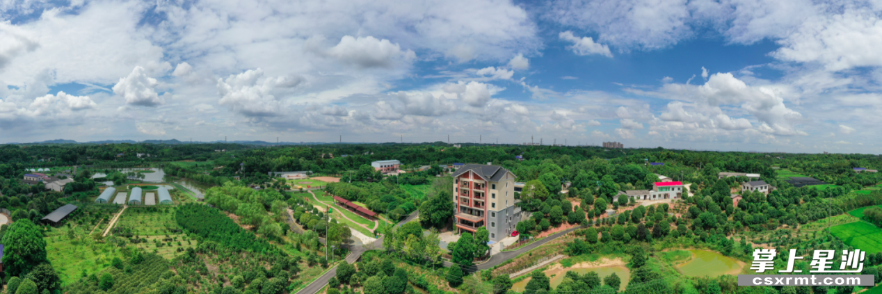 鸟瞰车马村绿意盎然.