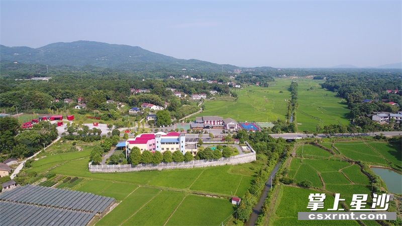 图为长沙县福临镇综合文化站.