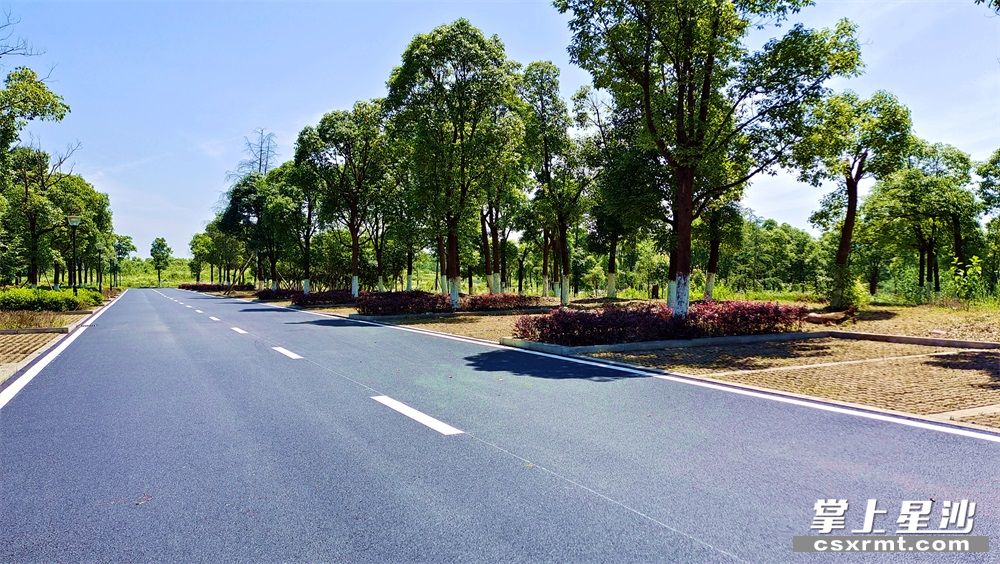 长沙县松雅湖生态新城发展中心为景点疏堵，新建上千个停车位，部分已经开放。 杨源 摄