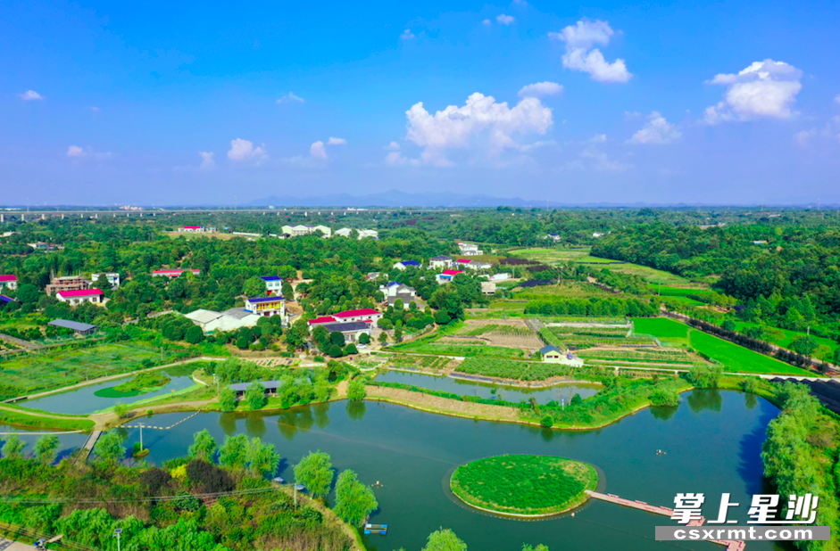 黄兴会展经济区车马村航拍图,水清,岸绿,景美让人醉.章帝 摄