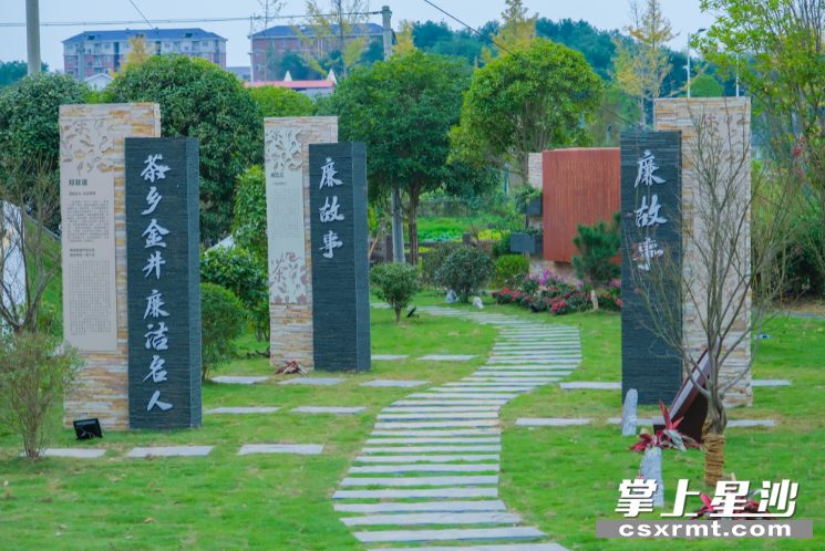 金龙村以茶为媒，打造“清茶廉韵”品牌。章帝 摄