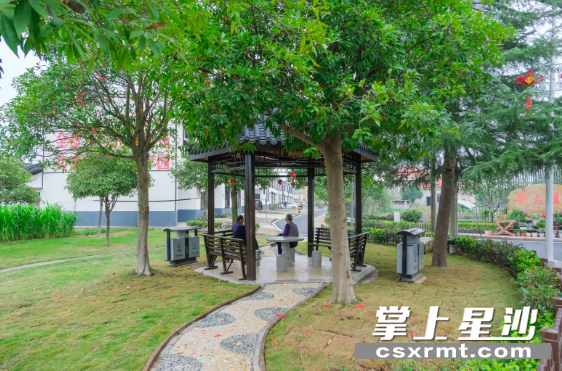 果园镇深入开展文明创建行动，让乡镇面貌焕然一新。图为十一月的浔龙河村新大屋，两旁花红草绿赏心悦目，屋场庭院错落有致。章帝 摄