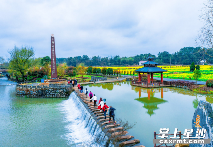 江背镇五福村金银坝油菜花田种植了包含橘色,粉色,黄色等各种彩色油菜