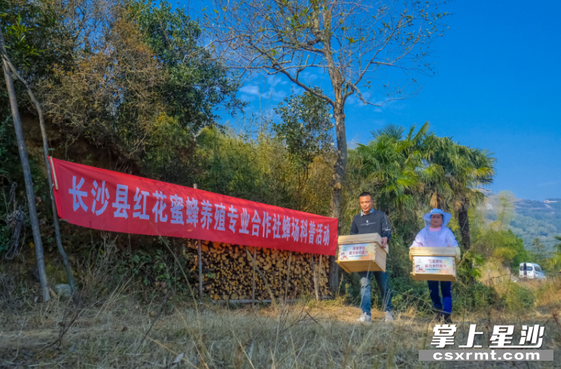 蜂农生活体验式旅游活动，让这一产业的发展前景更加广阔。