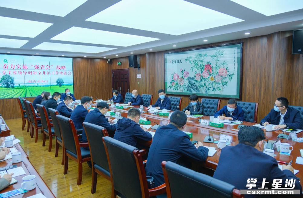 会议现场。章帝 摄