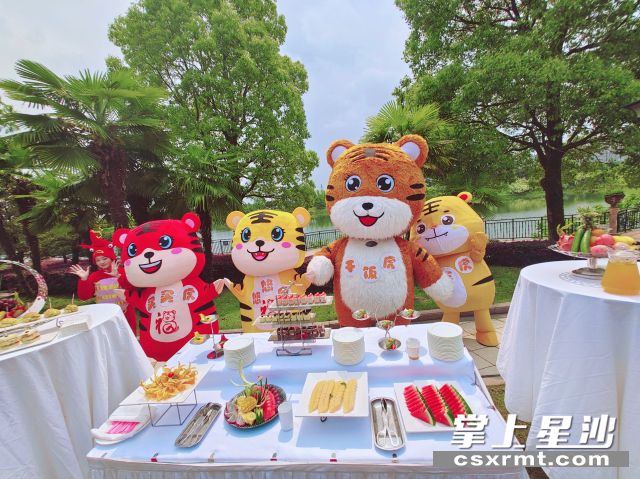 “汽车虎” “干饭虎” “买买虎” “悠悠虎”松雅湖四位萌小虎代言人相约”打卡碧桂园凤凰酒店的帐篷露营节。