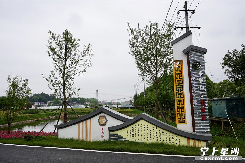 全新美丽宜居村庄里一角。