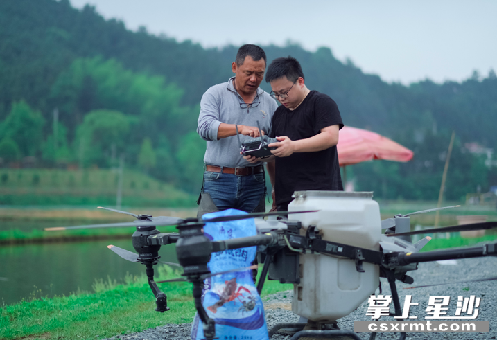 在六禾生态农庄里，经常能看到魏锌和父亲忙碌的身影。