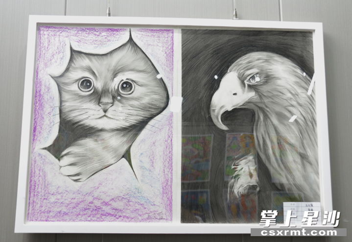 素描作品。均为李杰 摄