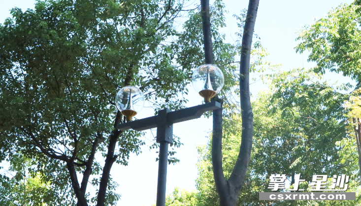长沙县城管局为小区周边安装了10杆路灯。