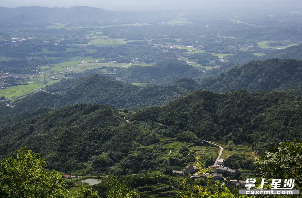 北山镇文旅农业融合的理想试验场文旅融合进行时77