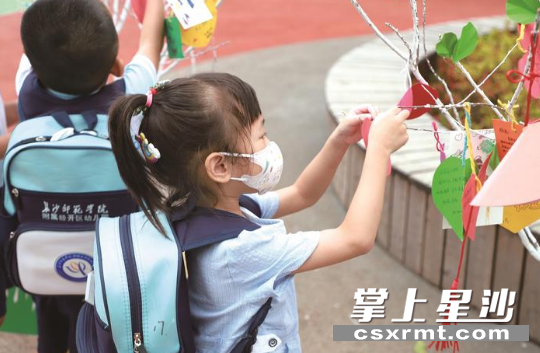 穿着整洁学院制服的幼儿园小朋友将自己新学期的愿望挂在了成长树上。除署名外，均为学校供图