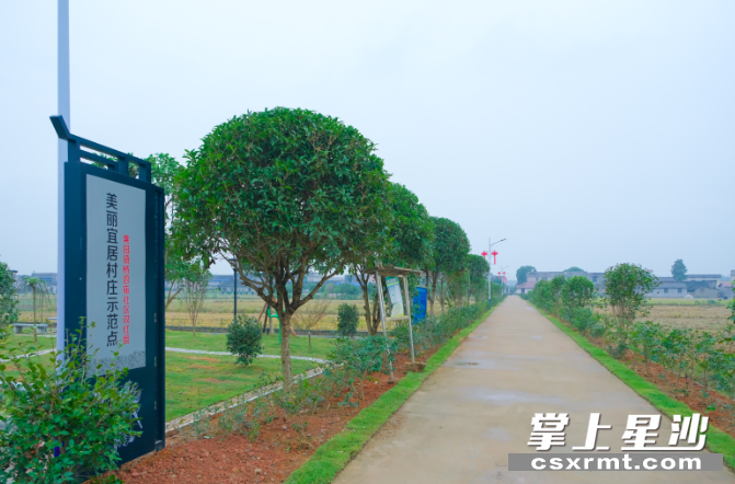 杨泗庙社区干净整洁的村组公路。 章帝 摄