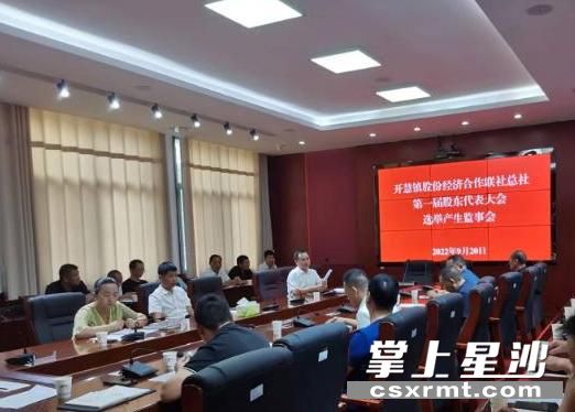 图为会议现场。开慧镇 供图