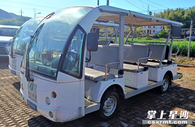 金井镇湘丰茶业庄园内，几辆观光车“整装待发”。