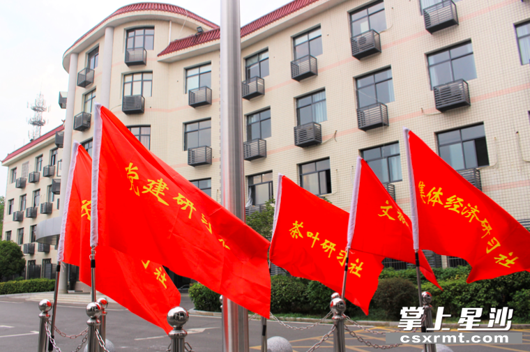 金井镇成立干部专业研习社，组建茶叶、党建、农技、文旅、集体经济五个研习社。