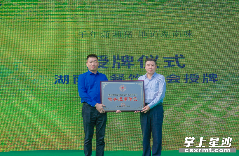 活动现场。均为 章帝 摄