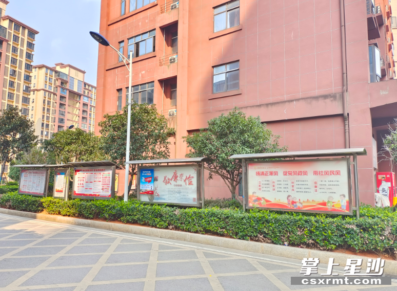东方壹品小区一角。均为吴涛 摄
