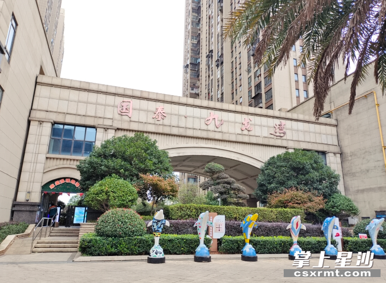 国泰九龙湾小区环境干净整洁。