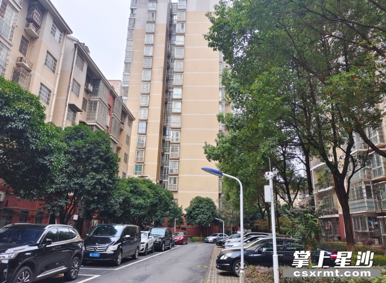 圣力华苑小区内车辆有序停放在停车位上。