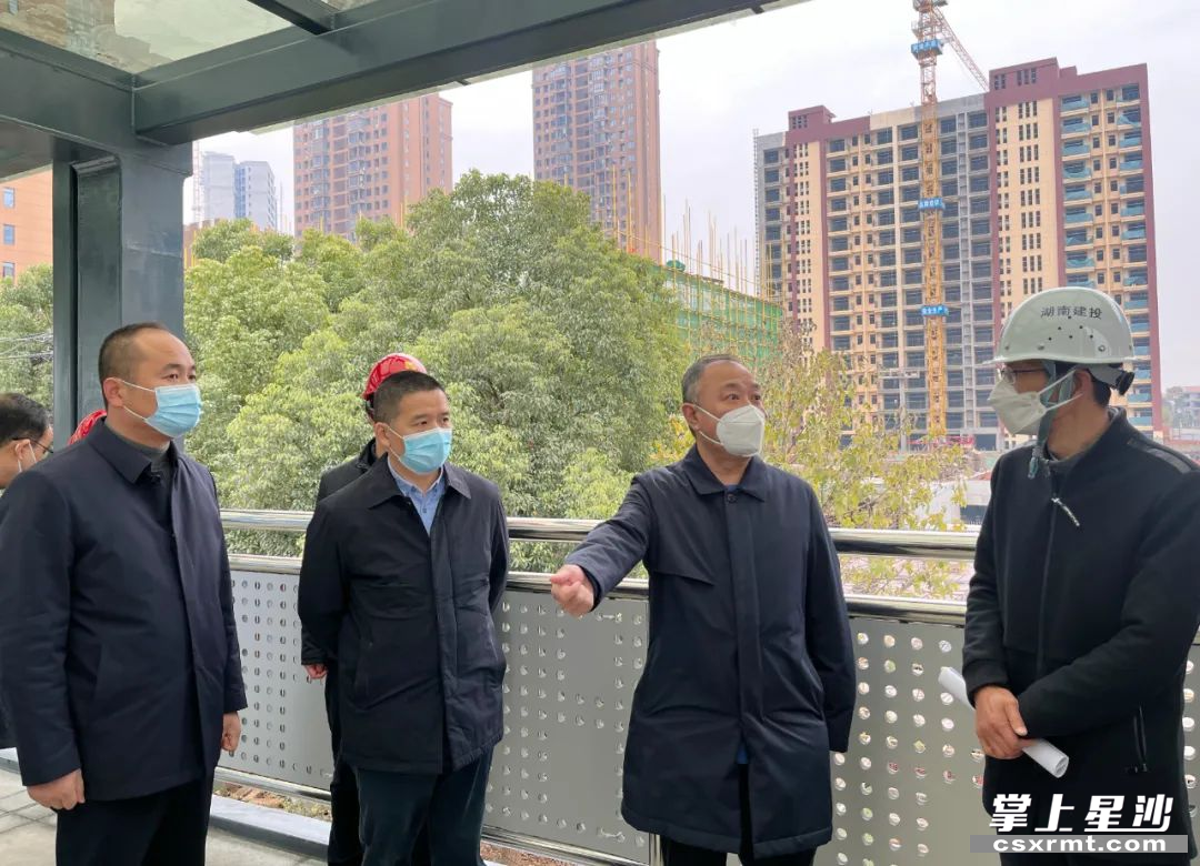 调研现场。张蕊 摄