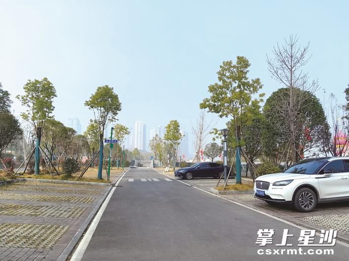 图为松雅湖国家湿地公园东三路停车场。李丹 摄