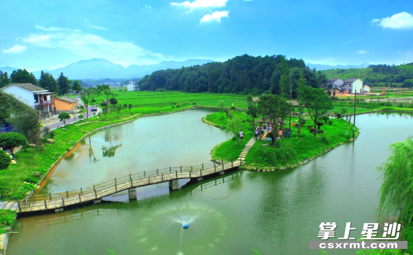 开慧镇锡福村大明湖畔一角。 开慧镇锡福村大明湖畔一角。