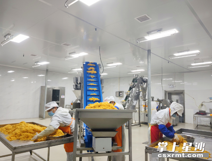 工人们在将制作好的肉松源源不断放入传送机斗内，以供包装。