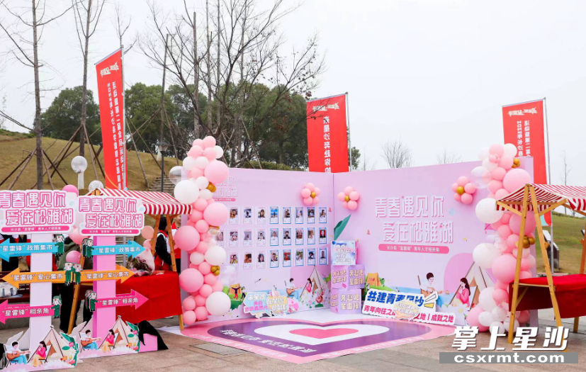 图为长沙县“星雷锋”青年人才相亲角。章帝 摄