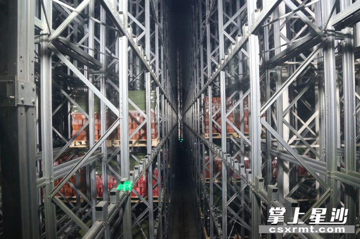 位于长沙县黄兴镇的华通汇达产业园冷链物流中心冷库，每3分钟能进出约16吨货物。 易旭 摄